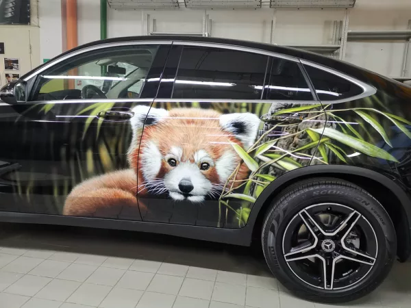 Авто и мото аэрография — Аэрография на авто и мото, работа №169